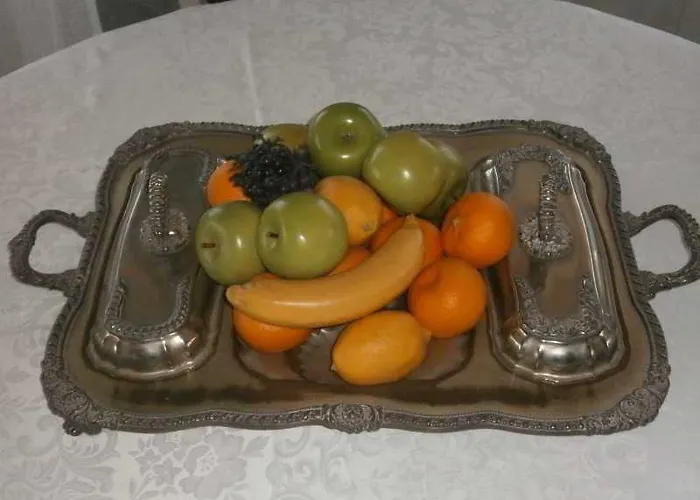 Altana Panoramic 招待所